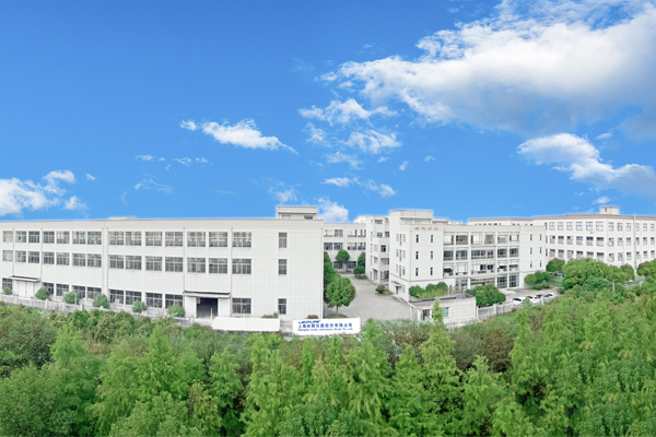 攜手同心、行而不輟，奔赴美好的2024